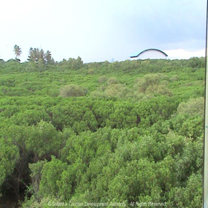 Nara Mangrove Garden
